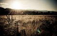 /album/wallpapers-heaven-cracker/a30-jpg/
